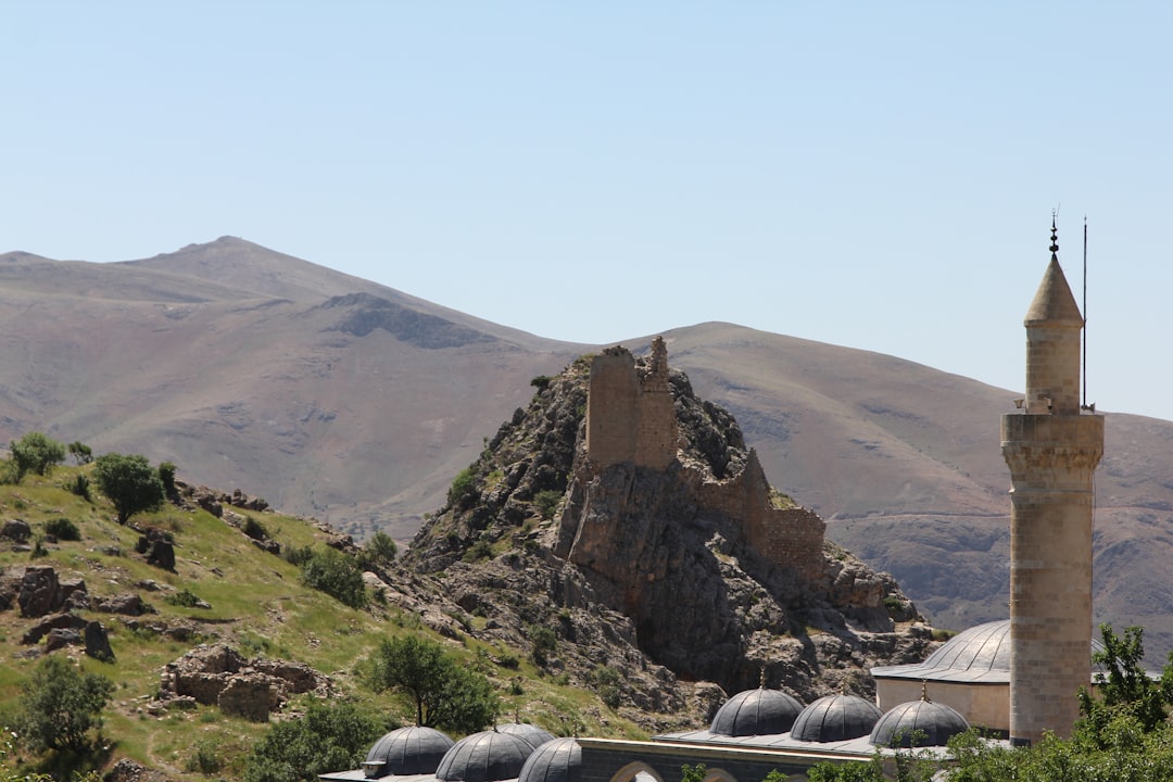 Tunceli polis operasyonu