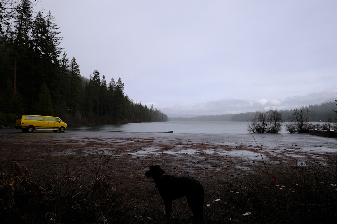 Van Gölü kenarında arama kurtarma ekipleri