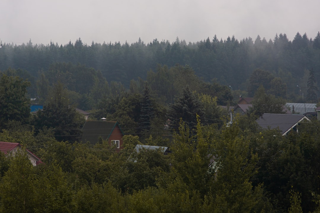 Artvin’de ayılar ve tilkilerin köyde görülmesi