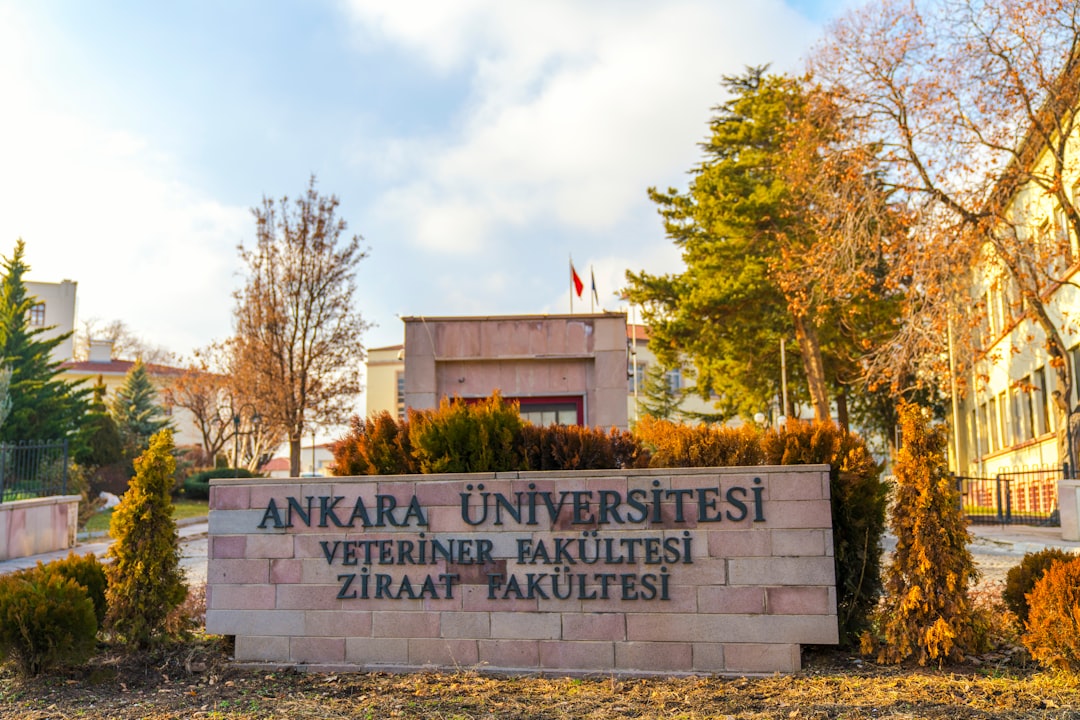 AYM’den 10 Ekim Başvurusuna Şok Ret! İnsanlığa Karşı Suç İhmali?