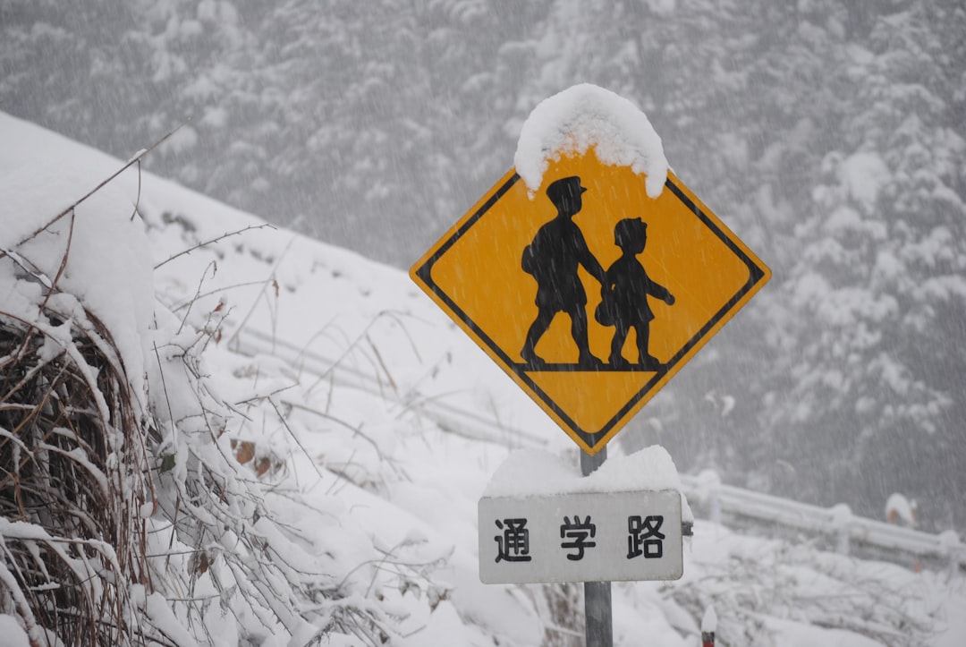 Eğitim Sen’den Şiddetsiz Okul Çağrısı ve Bakanlık Eleştirisi!