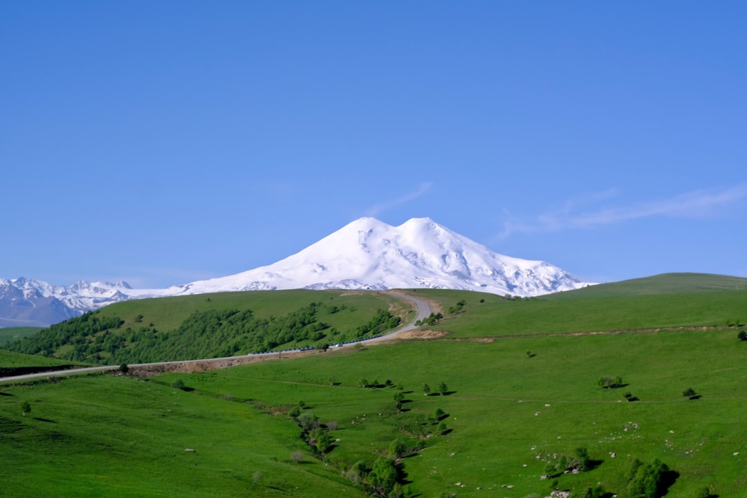 Spil Dağı Manisa lalesi