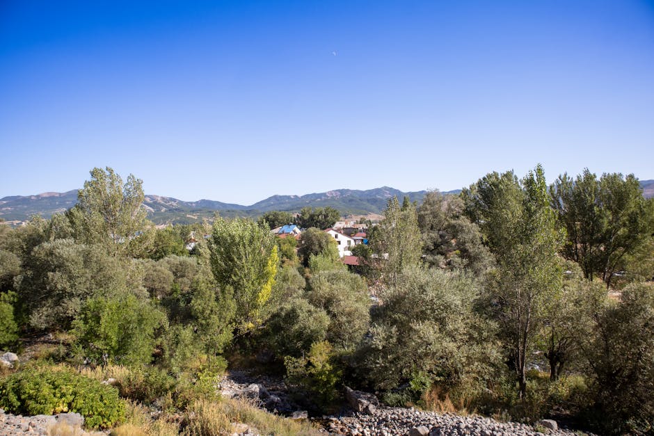 Eski Vali Tuncay Sonel Neden Adliyeye Sevk Edildi? Kapsamlı İnceleme!